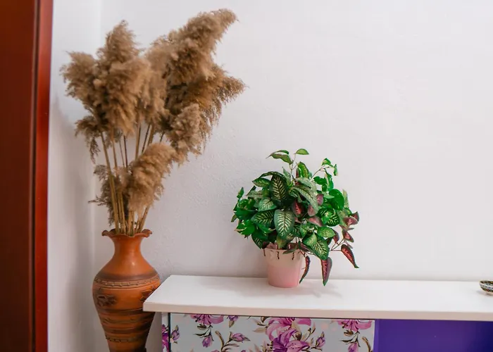 Antigona Appartement