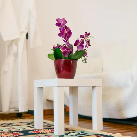 Apartment Antigona *