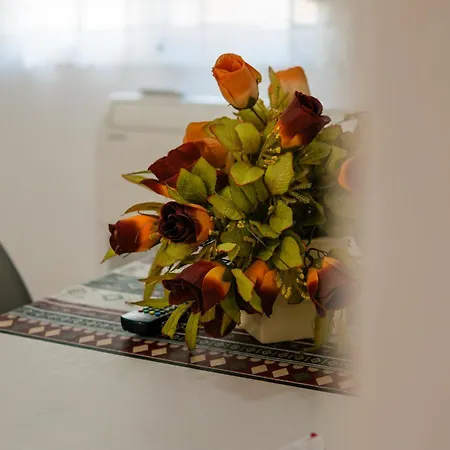 Antigona Apartment *