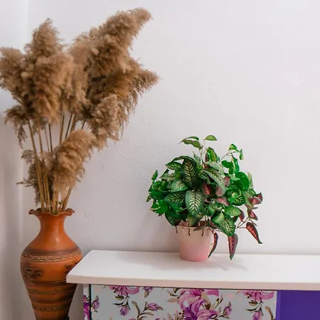 Antigona Appartement