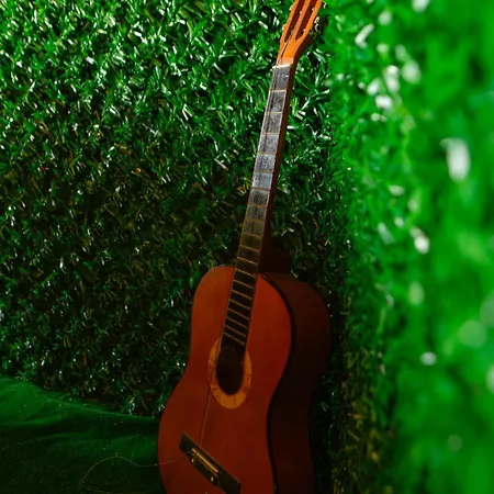 Antigona Apartment Gjirokastër